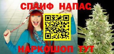 индика Кунгур