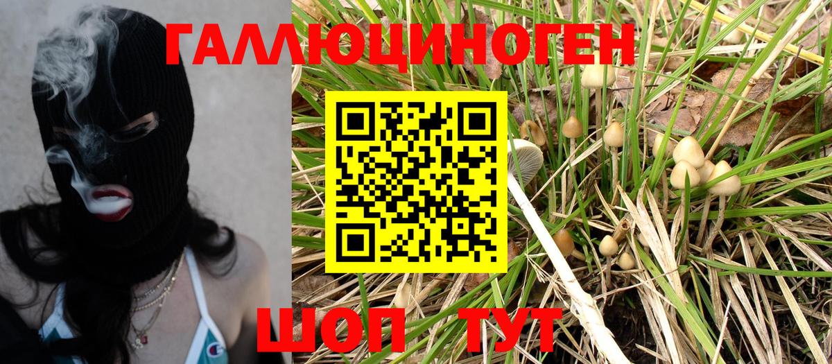 Галлюциногенные грибы Psilocybe Благовещенск