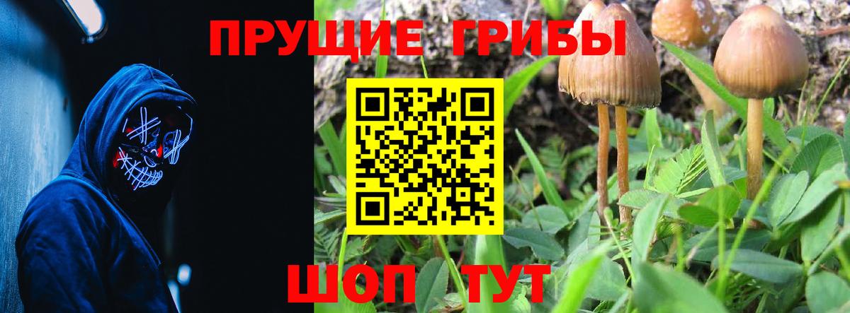 Псилоцибиновые грибы MAGIC MUSHROOMS  Вход с VPN  Благовещенск 
